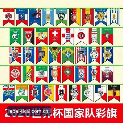 资深用户分享：体彩世界杯极速入口使用心得与实战经验
