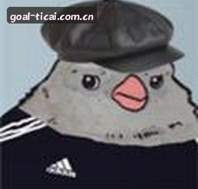 赵敏